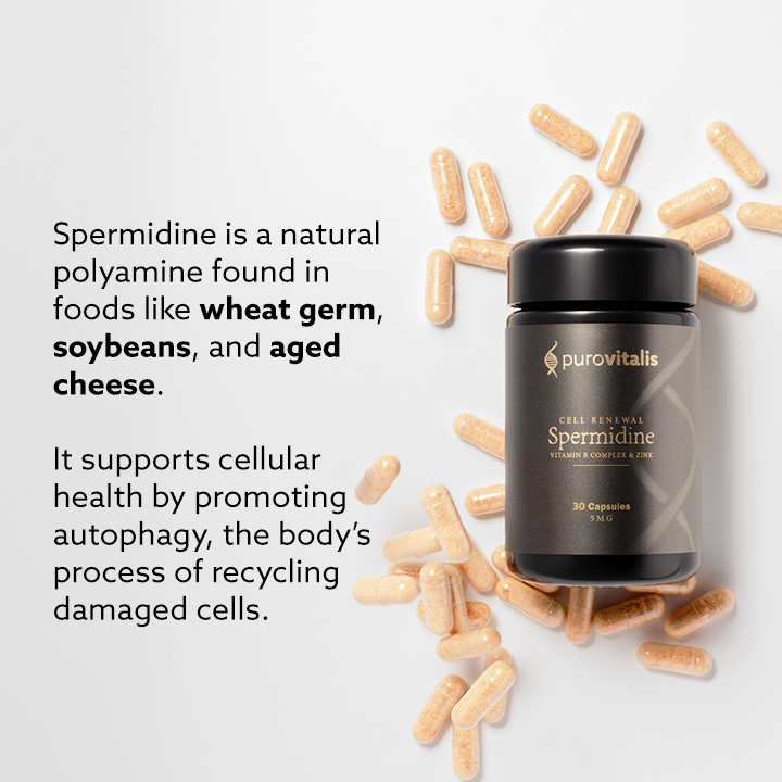 Liposomální Spermidine Fusion - 5 mg - Purovitalis